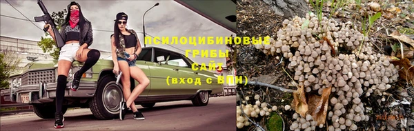стаф Абдулино