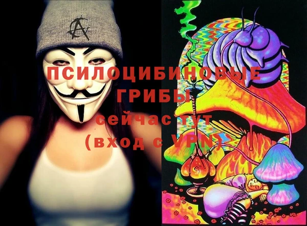 эйфоретик Алзамай
